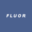 FLUOR CORP NEW